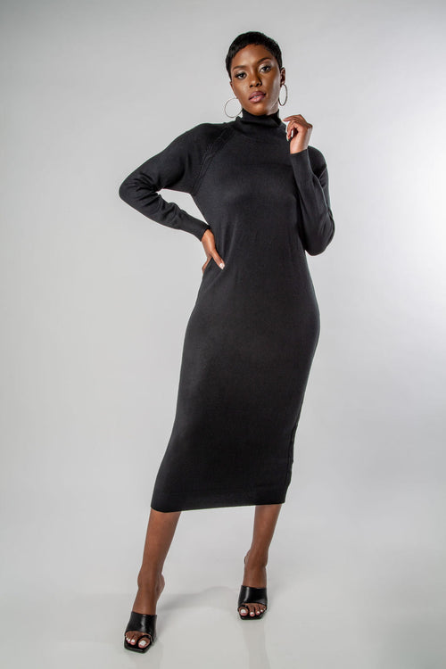 LONG SLEEVE TURTLENECK SWEATER KNIT DRESS-MISCHUN